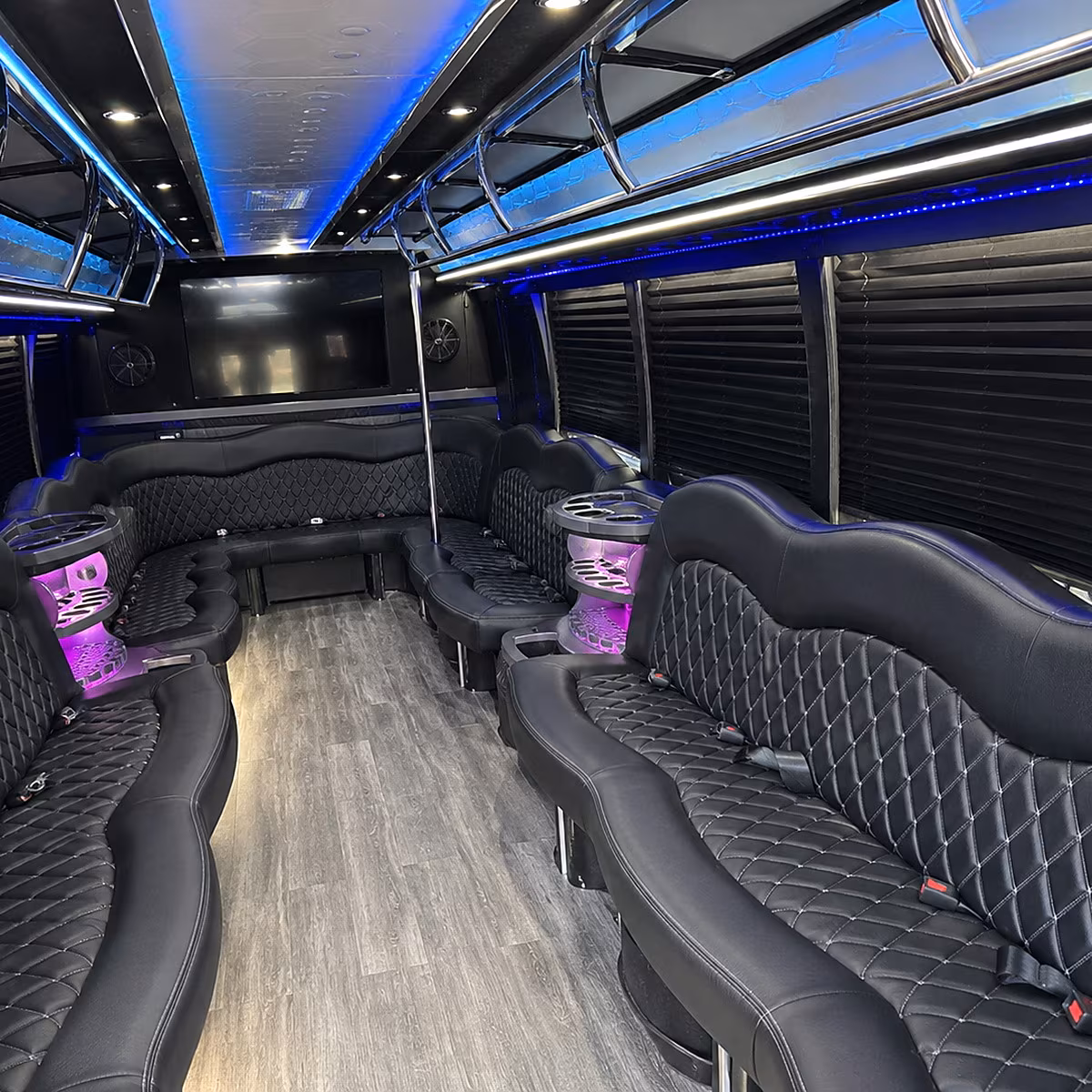 brownsville party bus rental interior