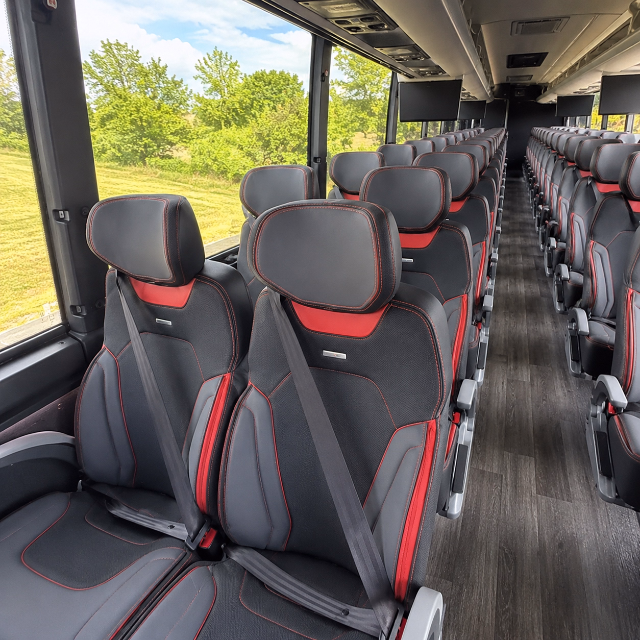 concert buses for charro days and outdoor festival season