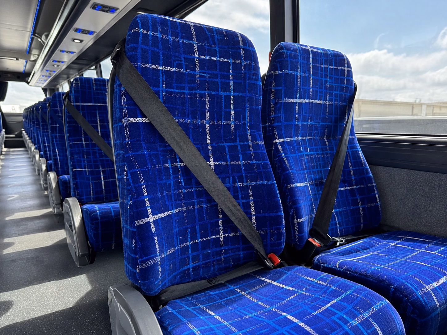 prom quinceanera and concert night party buses in brownsville