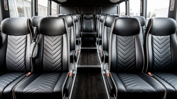 20 passenger minibus rental harlingen