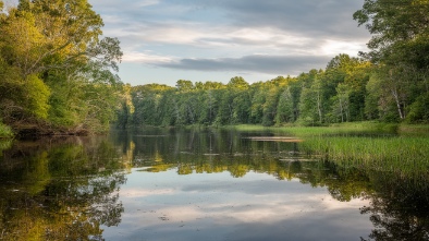 hugh ramsey nature park