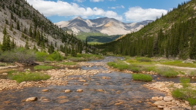 lone tree creek hike and bike trail