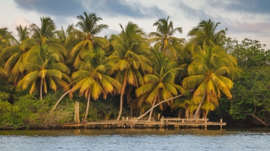 sabal palm sanctuary