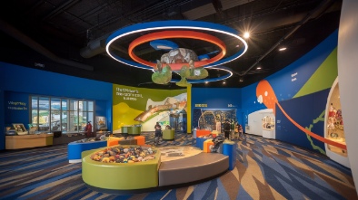 the childrens discovery museum